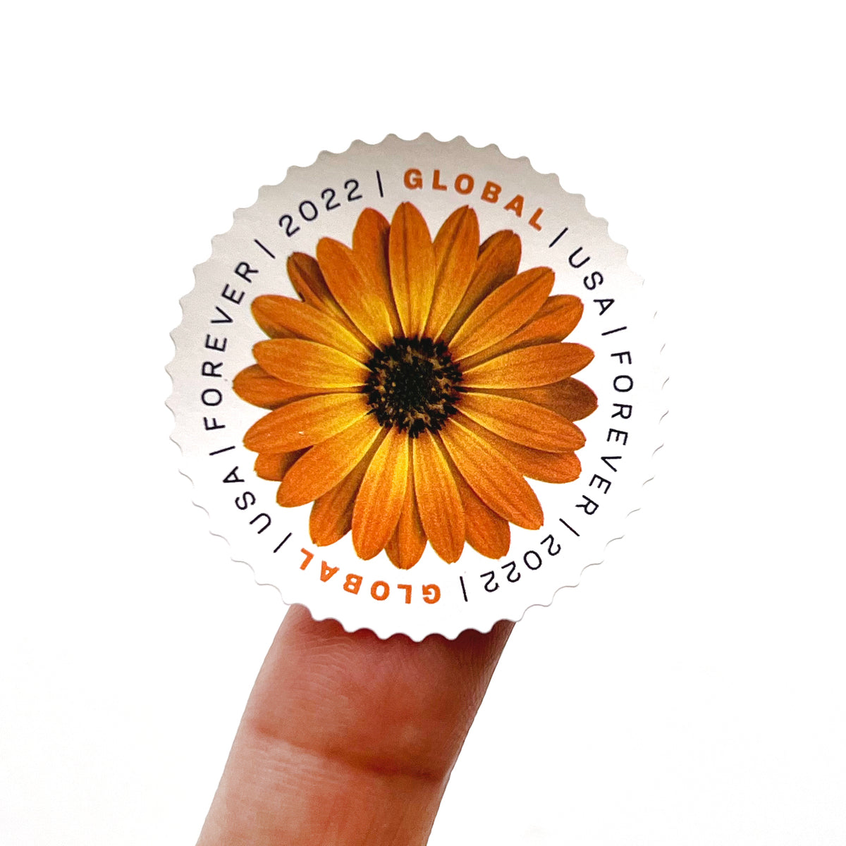 International Postage